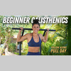 Beginner Calisthenics Pull Workout