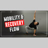 Mobility & Recovery Flow