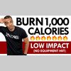 Day 49: "1000 Calorie Low Impact HIIT"