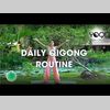 Daily Qigong Routine