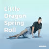 Little Dragon Spring Roll