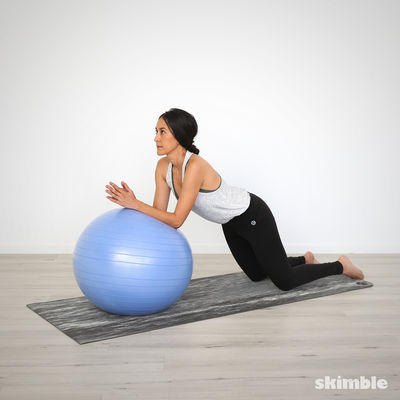 Ball Ab Rolls