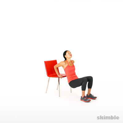 Chair Tricep Dips