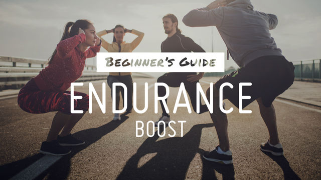 Beginner's Guide: Endurance Boost