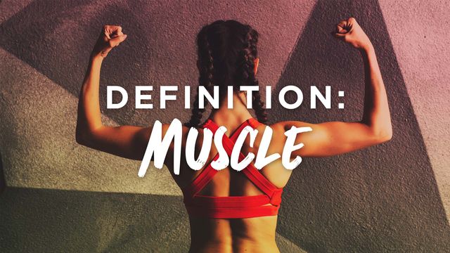 Definition: Muscle