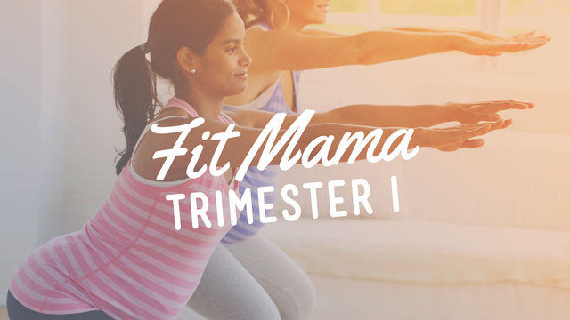 Fit Mama: Trimester I