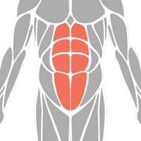 Transverse Abdominis